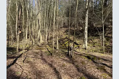 0 Boat Launch Rd, Wayne Township, PA 16222 - Photo 28