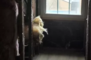 5614 Donson, Pittsburgh, PA 15201 - Photo 10