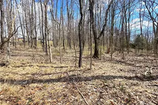 604 Loyalhanna Dam Rd, Loyalhanna, PA 15681 - Photo 14