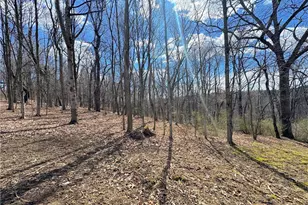604 Loyalhanna Dam Rd, Loyalhanna, PA 15681 - Photo 12