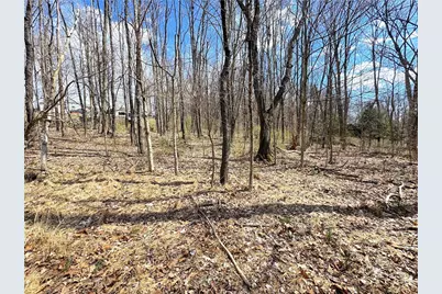 604 Loyalhanna Dam Road, Loyalhanna, PA 15681 - Photo 14