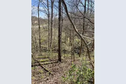 Sr166 Thompson 1 Rd, Luzerne Township, PA 15468 - Photo 4