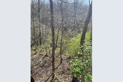 Sr166 Thompson 1 Rd, Luzerne Township, PA 15468 - Photo 2