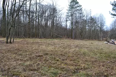 Lot 23 Horseshoe Bend Rd., Bullskin Township, PA 15610 - Photo 1
