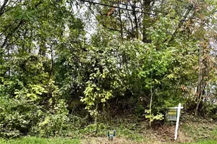 Lot 13 Clay Pike, Irwin, PA 15642 - Photo 1