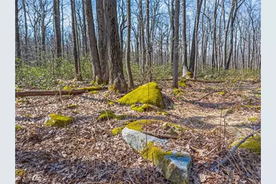 0 S Folino, Stoneycreek Township, PA 15926 - Photo 8