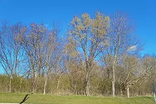 311 McMurray Rd, Pittsburgh, PA 15241 - Photo 1