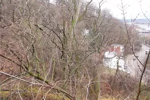 3 9 15 18 Roanoke St, Pittsburgh, PA 15203 - Photo 4