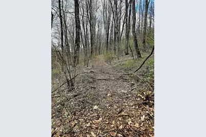 100 Jersey Hollow Rd, Lower Turkeyfoot Township, PA 15424 - Photo 12