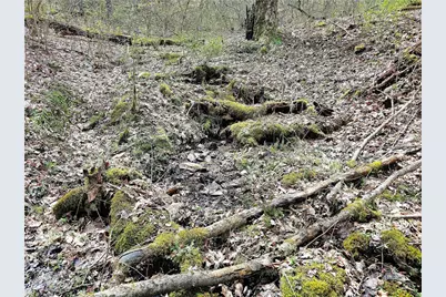 100 Jersey Hollow Rd, Lower Turkeyfoot Township, PA 15424 - Photo 24