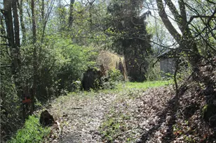 2807 13th Ave, White Township, PA 15010 - Photo 2