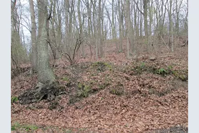 2807 13th Ave, White Township, PA 15010 - Photo 4