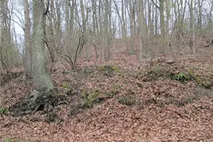 2807 13th Ave, White Township, PA 15010 - Photo 4