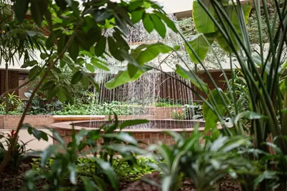 307 S Dithridge #208, Pittsburgh, PA 15213 - Photo 38