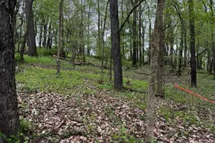 Lot 216 Thompsonville Rd, Peters Township, PA 15317 - Photo 1