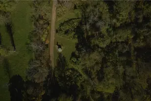 4038 State Route 156, Kiskiminetas Township, PA 15618 - Photo 46