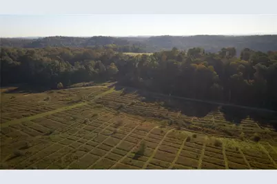 4038 State Route 156, Kiskiminetas Township, PA 15618 - Photo 42