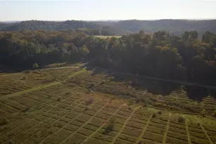 4038 State Route 156, Kiskiminetas Township, PA 15618 - Photo 42