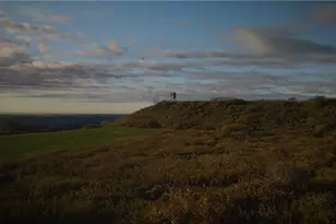 4038 State Route 156, Kiskiminetas Township, PA 15618 - Photo 40