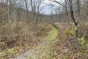 Lot Burtner Rd, Fawn Township, PA 15065 - Photo 1
