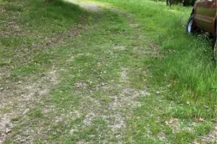 119 Reed Rd, Clearfield Township, PA 16034 - Photo 4