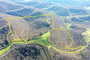 0 Drift Ridge Road / Sheppard Run, Franklin Township, PA 15362 - Photo 4