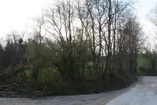 0 Drift Ridge Road / Sheppard Run, Franklin Township, PA 15362 - Photo 18