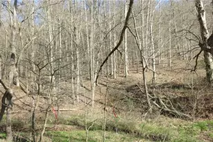 0 Drift Ridge Road / Sheppard Run, Franklin Township, PA 15362 - Photo 16