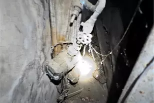 1244 Buena Vista St, Pittsburgh, PA 15212 - Photo 10