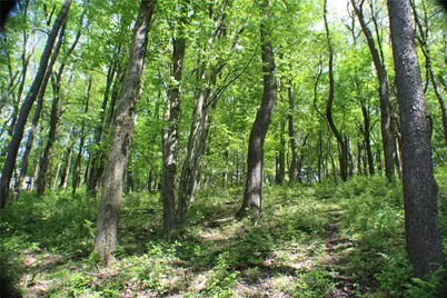 Lot Wexford Bayne Road, Marshall, PA 15090 - Photo 10