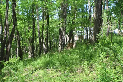 Lot Wexford Bayne Road, Marshall, PA 15090 - Photo 12