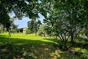 609 Trout Run Rd, Punxsutawney Area School District, PA 15767 - Photo 18