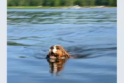 55 Elm Street Ext, Stoneboro, PA 16053 - Photo 14