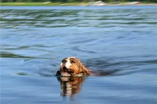 55 Elm St Ext, Stoneboro, PA 16053 - Photo 14