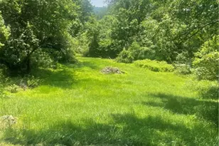 27 Chestnut St, Pine Township-Hellwood, PA 15745 - Photo 34