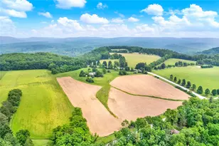 274 Rector Rd, Ligonier Township, PA 15658 - Photo 46