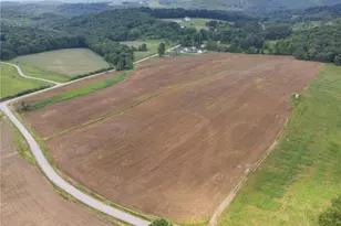 207 State Park Rd, New Alexandria, PA 15670 - Photo 38