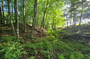 273 Government Rd, Redbank Twp, PA 16242 - Photo 26