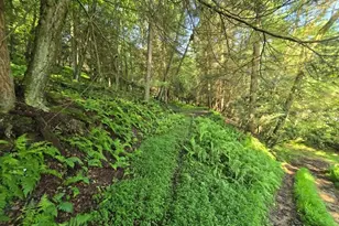 273 Government Rd, Redbank Twp, PA 16242 - Photo 32