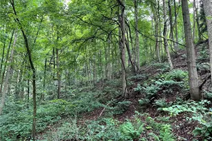 0 Constitution Blvd, Brighton Township, PA 15066 - Photo 16