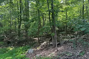 Lot 934 Ski Slope Rd, Bullskin Township, PA 15610 - Photo 1