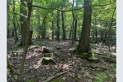 Lot 934 Ski Slope Rd, Bullskin Township, PA 15610 - Photo 4