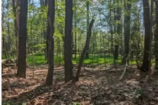 4 Horse Shoe Bend Rd, Bullskin Township, PA 15610 - Photo 1