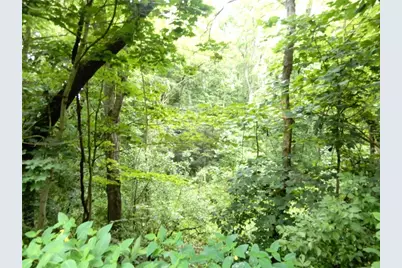 Lot 1 Canterbury Lane, Peters Township, PA 15317 - Photo 4