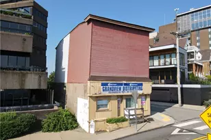 1325 Grandview Ave, Pittsburgh, PA 15211 - Photo 4