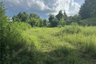 360 Old Abers Creek Rd, Pittsburgh, PA 15239 - Photo 1