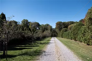 209 Channing Ln, Clearfield Township, PA 16034 - Photo 50