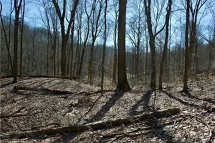 0 Audubon Rd, Sewickley Heights, PA 15143 - Photo 8