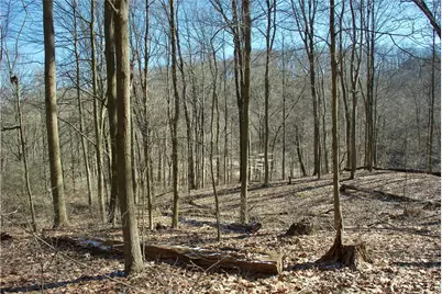 0 Audubon Road, Sewickley Heights, PA 15143 - Photo 6