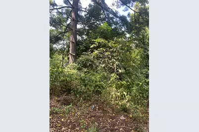 1113 Buente, Spring Hill, PA 15212 - Photo 4